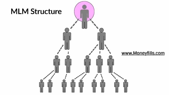 Network marketing structure